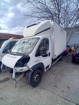 Fiat ducato maxi