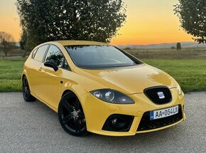 Seat Leon FR - BALKAN BUMBLEBEE - 1