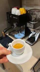 Rancilio Silvia BC