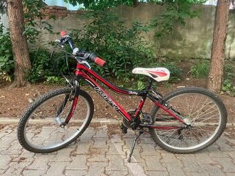 Bicykel Harry Jetty