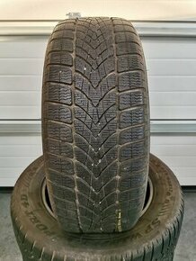 Dunlop WinterSport 4D 225/60 R17 2021 zimné pneu