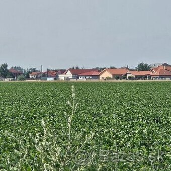 Hľadáte pozemok pre budúcu výstavbu? Košice - Krásna