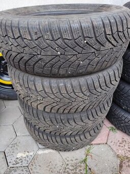 195/65 R15 Zimne