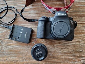 Canon EOS 6D mk II body + Canon EF 40mm f/2.8 STM + UV