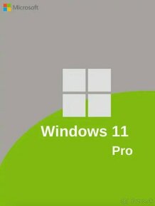 Windows 11 PRO licencia