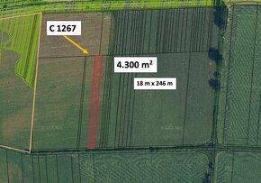 Fiľakovské Kováče – 4.300 m2 ORNÁ PÔDA 1/1 - Predaj