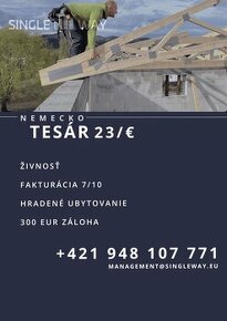 TESÁRI / NEMECKO / OD 23 EUR/H. / DLHODOBO