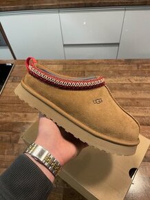 UGG TAZZ k chestnut