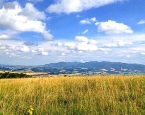 Pušovce – 16.000 m2 ORNÁ PÔDA a LES pri Prešove - Na predaj