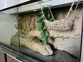 Terarium