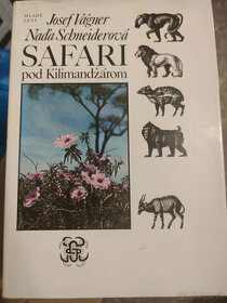 Safari pod Kilimadžárom, Potulky po Japonsku