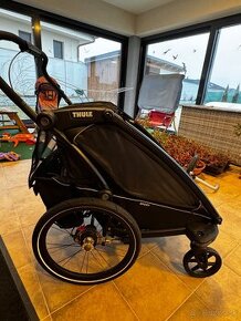 Thule Chariot Sport 2