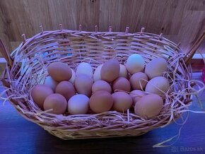 Domáce vajíčka / Házi tojás