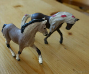 kone Schleich - 1