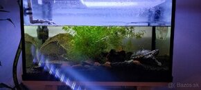 Akvarium z príslušenstvom