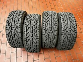 225/45R17 RIKEN SNOW