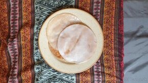 Kombucha scoby