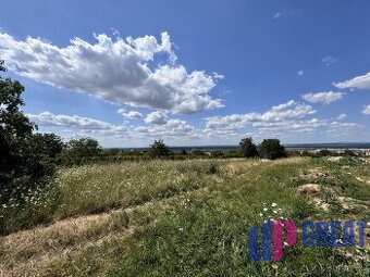 Predaj pozemku 2573 m2 na výstavbu vinohrad. domu, SKALICA