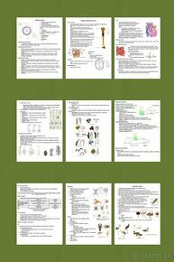 Poznámky na maturitu z biológie/prípravu na VŠ - 1