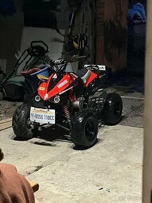 Quad 110cc atv