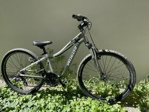 Specialized Hotrock 24