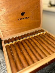 Cohiba Espléndidos 25