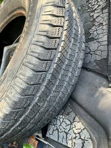 Zimne 225/75 R15