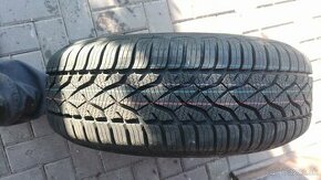 Zimné pneumatiky 195/65 R15