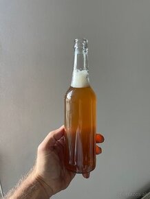 Kombucha nápoj