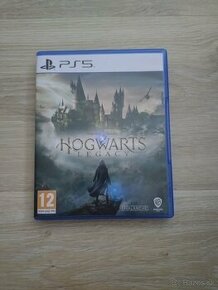 Hogwarts Legacy PS5