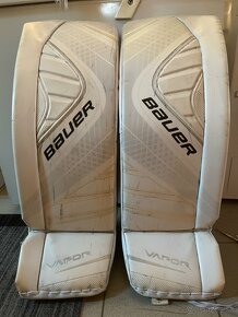 Bauer Vapor x900