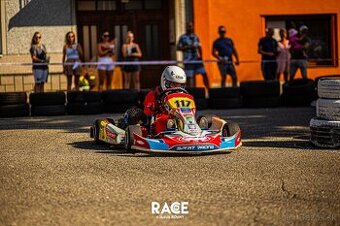 motokára Birel Easykart 100 ccm (24 koní 15000 ot./min)