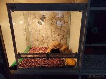 PREDAM TERARIUM LUCKY REPTILE 60x50x60 BIELE