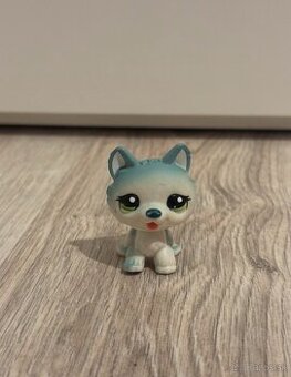 LPS - littlest pet shop husky - 1