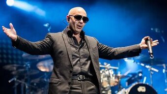 Pitbull Hamburg - 1