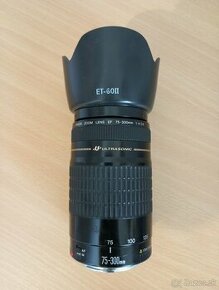 Canon EF 75- 300 1 : 4 - 5,6