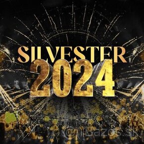 Silvester Ministry of Fun