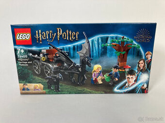 LEGO® Harry Potter™ 76400 Bradavice: Kočár a testrálové