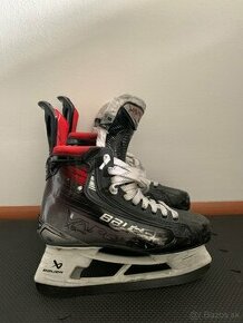 Kurčule Bauer Vapor x5 pro