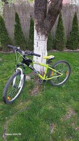 Detský horský bicykel Genesis MX 24