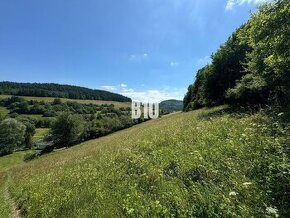 Slnečný stavebný pozemok Dolný Vadičov 7321m2