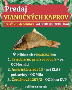 PREDAJ VIANOČNÝCH KAPROV - KOŠICE