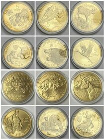 5 Euro mince Slovensko Flora a Fauna: Bocian cierny