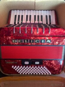 Harmonika delicia