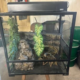 Terarium