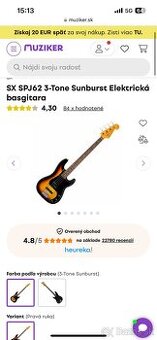 Basgitara