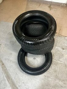 205/55R16 Zimné