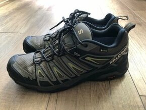 Salomon X Ultra Pioneer GTX velk. UK9