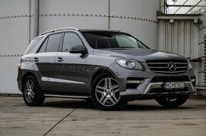 Mercedes ML 250cdi