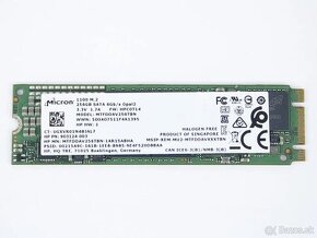 256GB M.2 SATA SSD